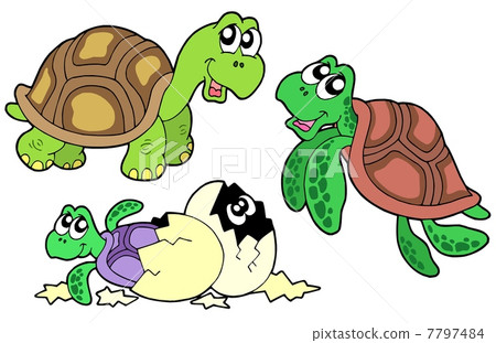 Turtles collection Turtles collection 7797484