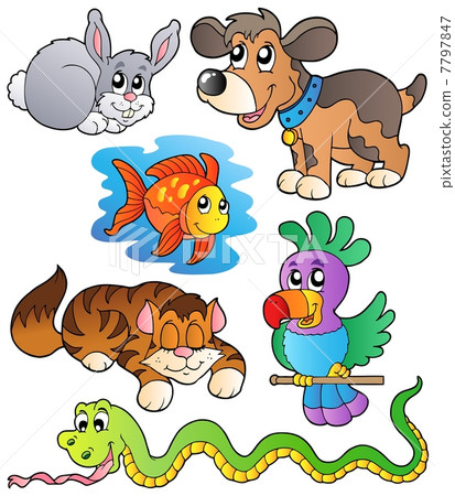 Happy pets collection 1 Happy pets collection 1 7797847