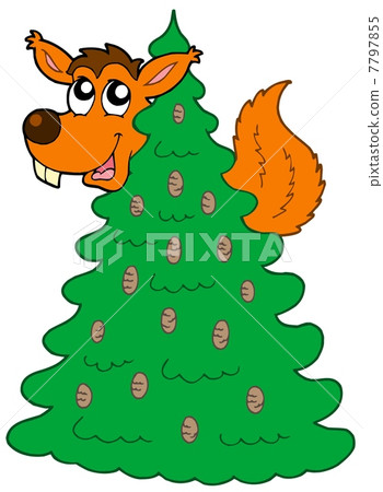 Squirrel on coniferous tree 7797855