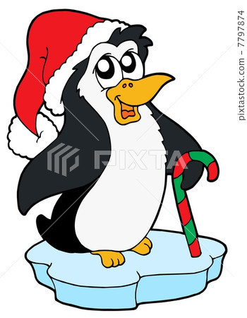 Penguin in Christmas cap Penguin in Christmas cap 7797874