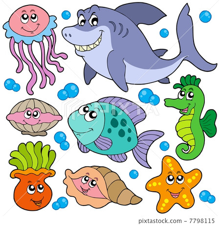 Aquatic animals collection Aquatic animals collection 7798115