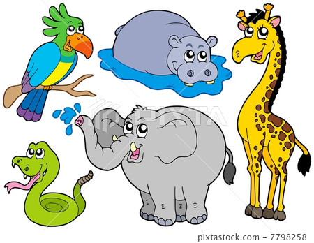 Wildlife animals collection 7798258