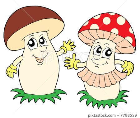 Mushroom and toadstool vector illustration 7798559