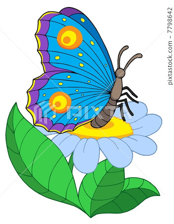 Butterfly with flower Butterfly with flower 7798642