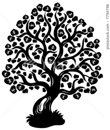 Lime tree silhouette Lime tree silhouette 7798796