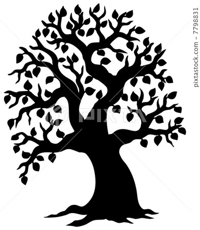 Big leafy tree silhouette Big leafy tree silhouette 7798831