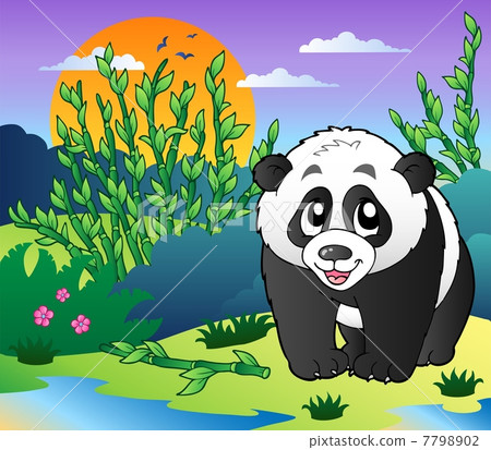 Cute small panda in bamboo forest - Stock Illustration [7798902] - PIXTA