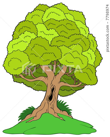 Leafy tree on hill Leafy tree on hill 7798974