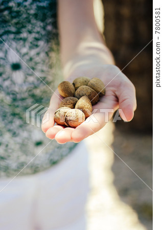 Woman showing handful of almonds Woman showing handful of almonds 7800581