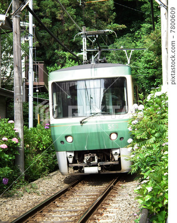 Enoshima near Enoshida Enoshima near Enoshida 7800609