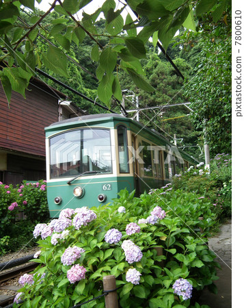 Enoshima near Enoshida Enoshima near Enoshida 7800610