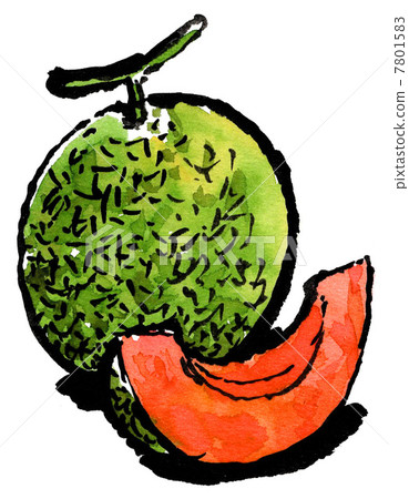 甜瓜 水果 像一封用畫寫成的信 7801583