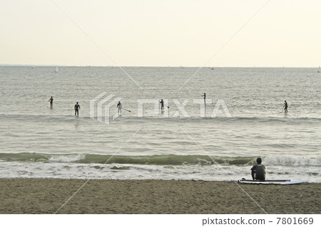 湘南衝浪者 湘南衝浪者 7801669