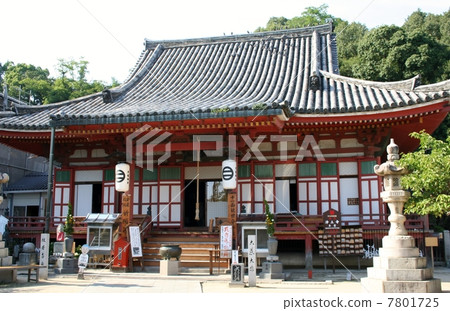 Jodoji Jodoji 7801725