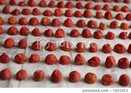 Umeboshi側身 7801953