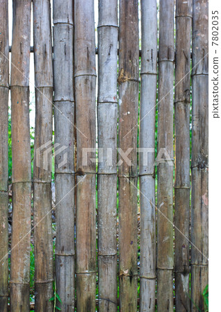 Bamboo Wall Texture 7802035