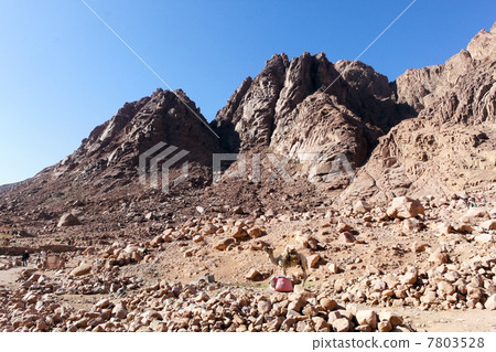 西奈山，埃及堅固性落磯山脈 7803528