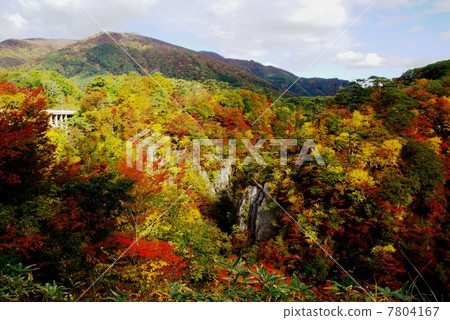 Naruko gorge of autumn leaves 7804167