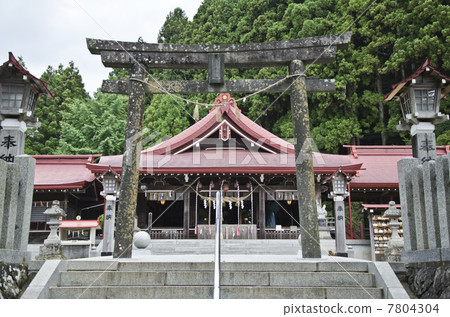 Gold plants in Iwanuma city 7804304