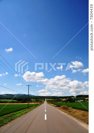 A straight road in Hokkaido 7804439