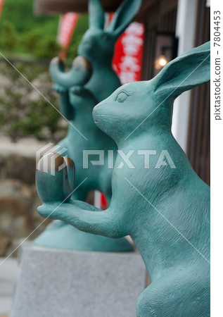 稻葉的白兔 7804453