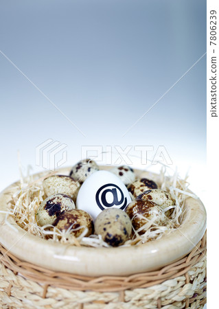 Unique egg Unique egg 7806239