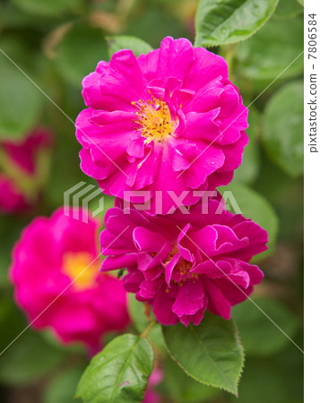 Henri Martin Henri Martin 7806584