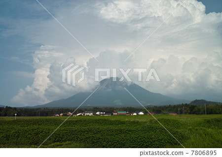 夏天的山 7806895