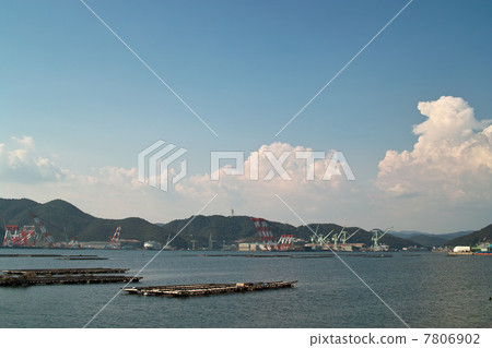 夏日的天空 7806902