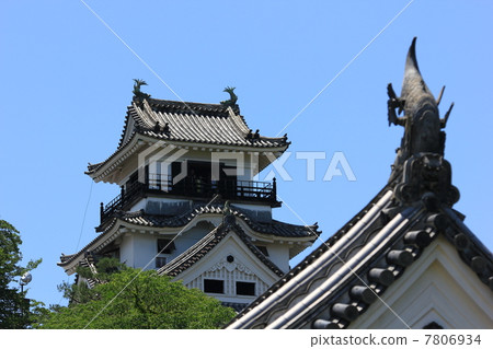 高知城堡城堡塔和馬拉松門在仲夏 7806934