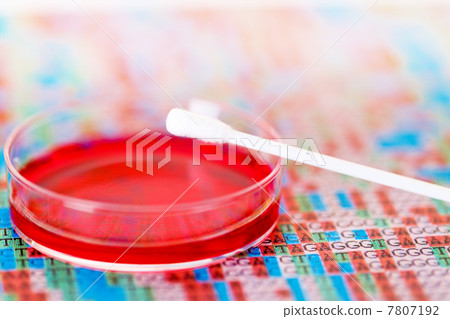 cotton swab cotton swab 7807192