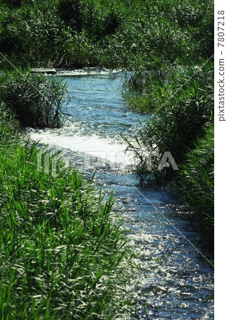 Country landscape 3 Country landscape 3 7807218