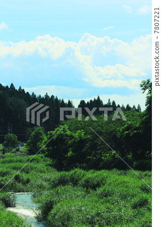 鄉村景觀4 7807221