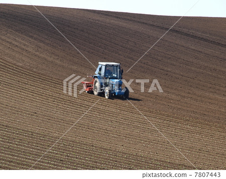 Waving field and tractor 7807443