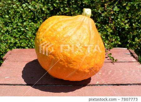 新鮮的夏季蔬菜，Kolinky 7807773