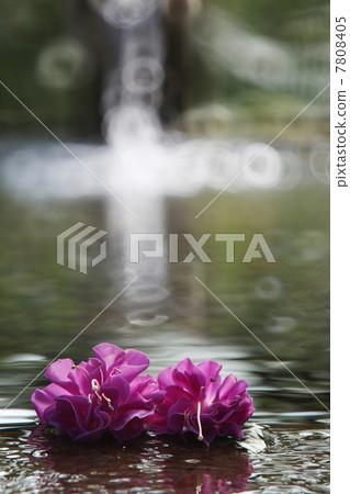 水流，十字花 7808405