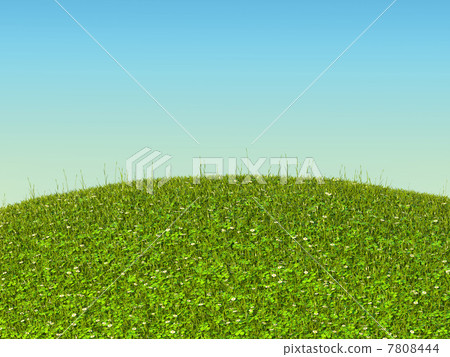 Green grass landscape with clover and camomile flowers 7808444