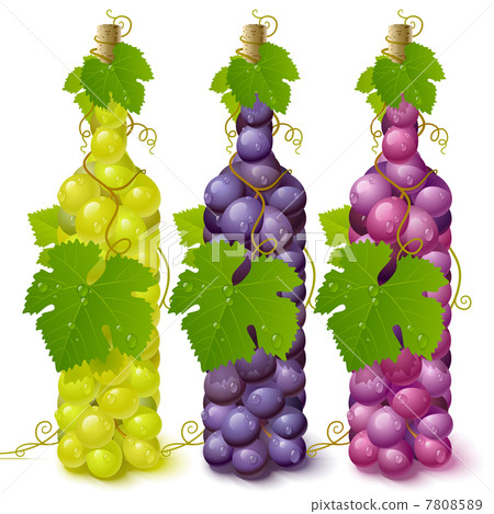 Vine grape bottles 7808589