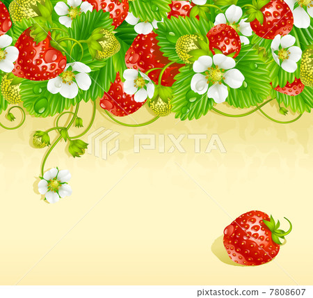 Vector strawberry frame Vector strawberry frame 7808607