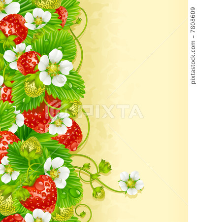 Vector strawberry frame Vector strawberry frame 7808609