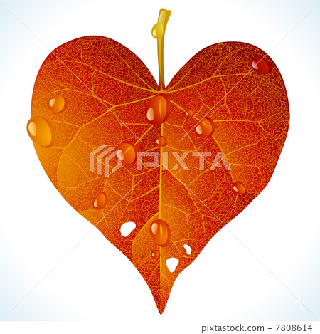 Autumnal love Autumnal love 7808614