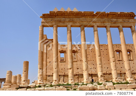 Syria 7808774