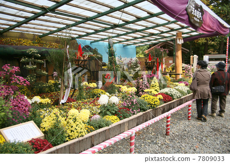 Akihiko Shrine Kiku Festival 7809033