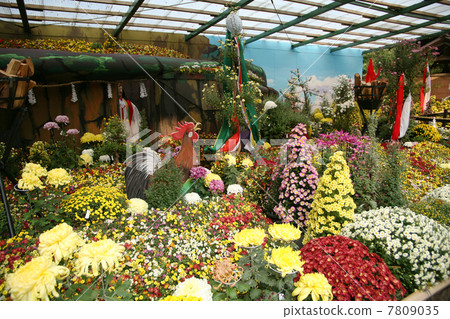 Akihiko Shrine Kiku Festival 7809035