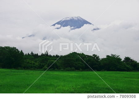 初夏富士山 7809308