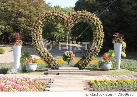 A flower bed shaped like a heart 7809693