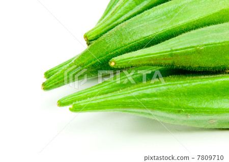 新鮮的秋葵 7809710