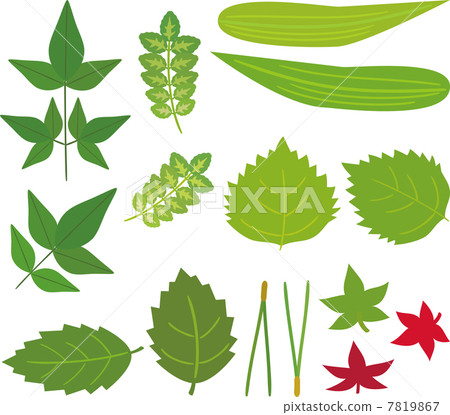 葉子伴隨著日本料理 7819867