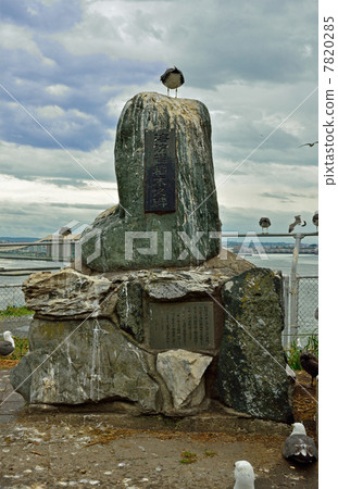 八戶漫步·海上巡視員稻城幽穀神島神社國家天然寶藏繁殖場 7820285