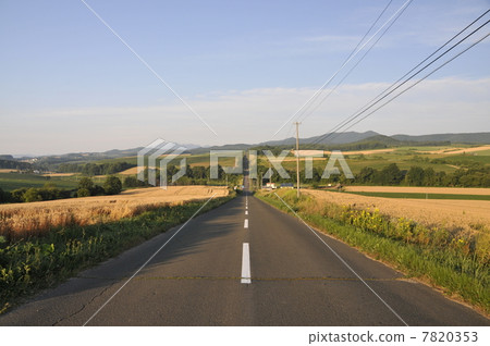 Jet coaster road 7820353